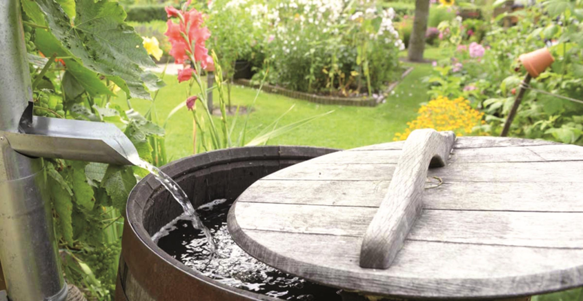 6 Astuces simples pour économiser l’eau dans votre jardin – Actuel ...